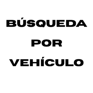 Búsqueda por vehiculo