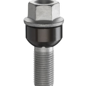 Tornillo especial Porsche m14x1.50 LL19 (RST)