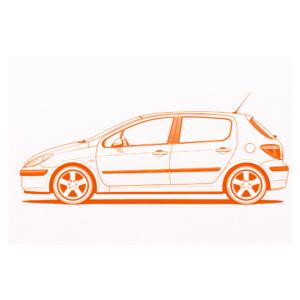 307 2001-2010