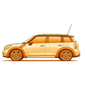 Countryman R60