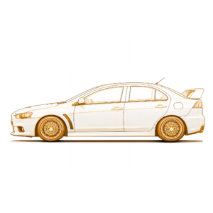 Evolution 10 2008-2016