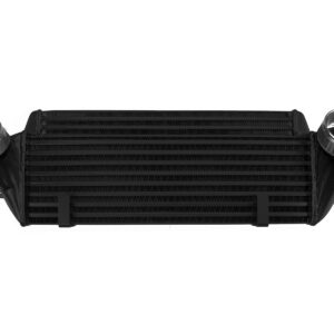 FMICPRO IC 009 2